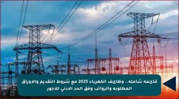 قائمة شاملة.. وظائف الكهرباء 2025 مع شروط التقديم والأوراق المطلوبة والرواتب وفق الحد الأدنى للأجور
